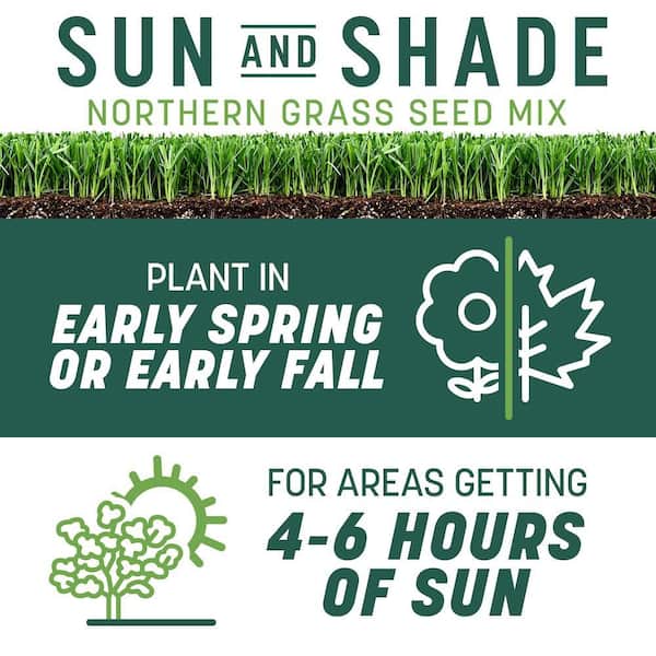 Smart Seed Sun and Shade North 7 lb. 2,330 sq. ft. Grass Seed and Lawn Fertilizer