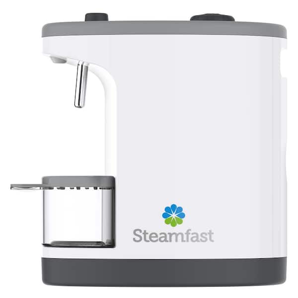 SteamFast JULE Steam Jewelry Cleaner SF-1000 - The Home Depot