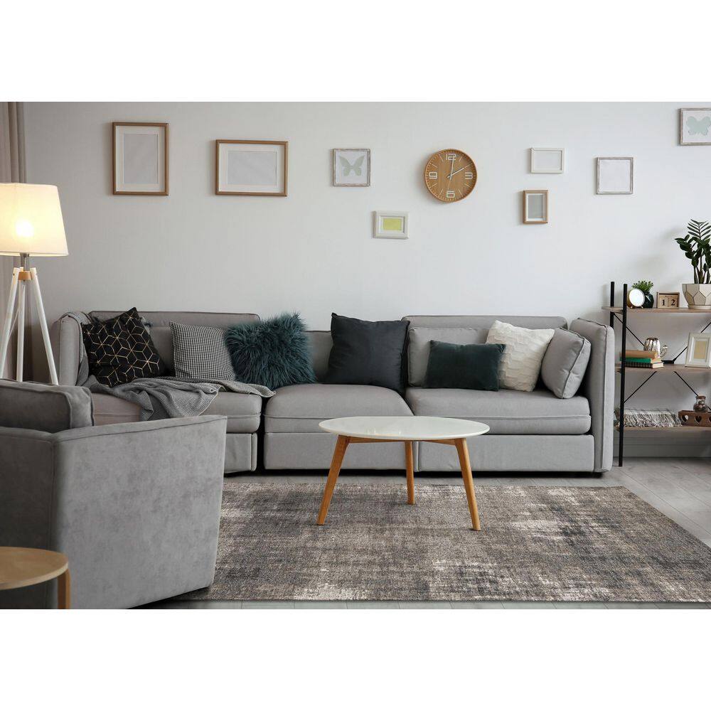 Lirien Collections 8 ft. x 11 ft. Grey Organic Indoor Area Rug price history on PriceWatchPro