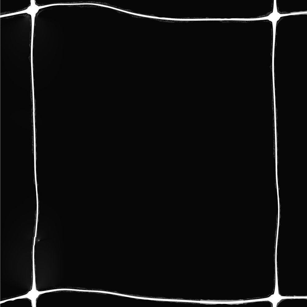 White Polypropylene Plant Trellis Net for Climbing Vegetables