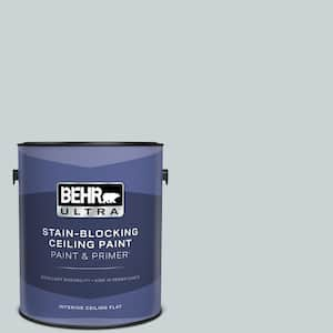 1 gal. #N490-1 Absolute Zero Ceiling Flat Interior Paint with Primer