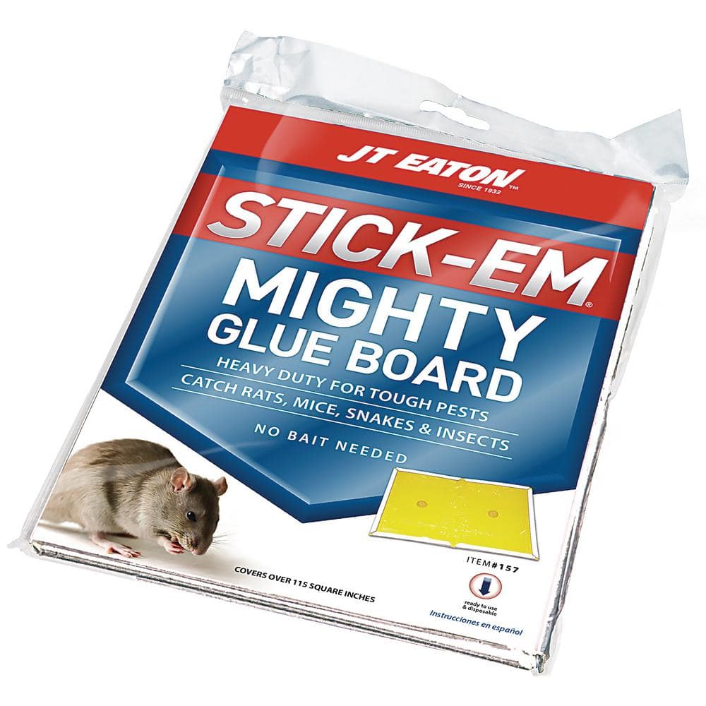 JT Eaton Stick-Em Mighty Glue Board Trap (12-Pack) 157 - The Home