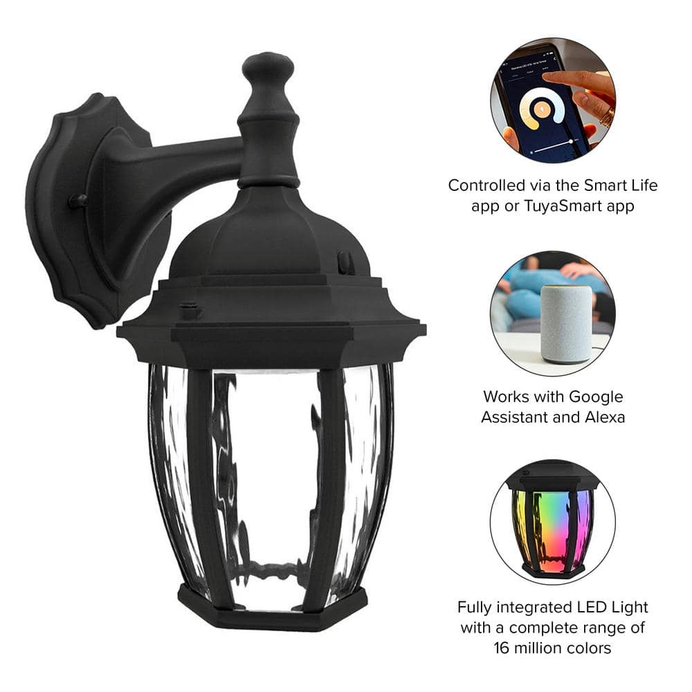 Black Matte Smart WiFi Outdoor Wall Sconce with Clear Glass