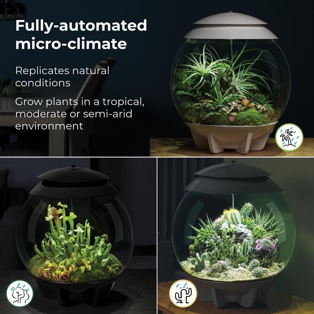 White Acrylic Desktop Terrarium Bowl with Automated Features