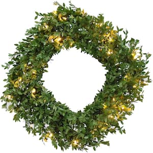 24 in. Boxwood Green Artificial Christmas Wreath with Warm White LED Lights