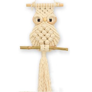 Macrame Wall Decor Bohemian Decor Tapestry Hanger Bird Wall Decor Owl Wall Tapestry 10 in. x 26 in.