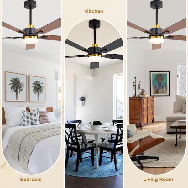 Olyvea 52 in. Indoor Black Caged Ceiling Fan with Light and Remote, Modern Reversible Ceiling Fan with 6-Speeds