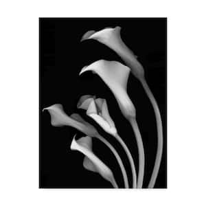 Susan S. Barman 'Calla Lilies 3 Black and White' Canvas Unframed Photography Wall Art 18 in. x 24 in