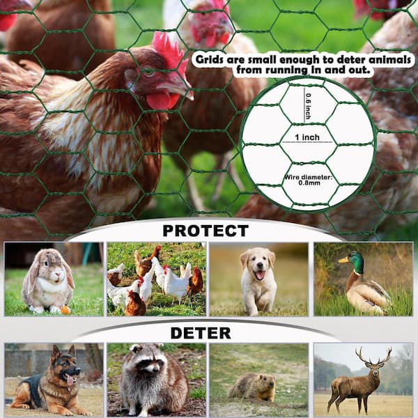 Angel Sar 17 in. x 17 ft. Chicken Wire Fencing Mesh, 0.6 in. Hexagonal Galvanized Hardware Cloth for Coop Barrier Rabbit Cage