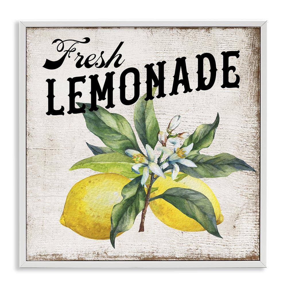 Rustic Fresh Lemonade by Creatif Belle White Framed Food Giclee Art Print 12 in. x 12 in. price history on PriceWatchPro