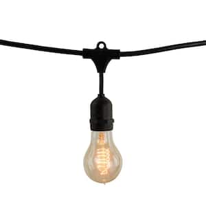 Outdoor/Indoor 48 ft. Plug-in  A19 Incandescent Black String Light with Clear Bulbs Included 15-Sockets (2-Pack)