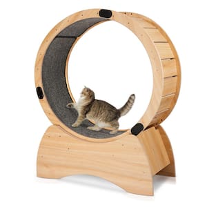 Cat Exercise Wheel - Running, Spinning and Scratching Fun, Cat Treadmill with Carpeted Runway, Kitty Cat Sport Toy