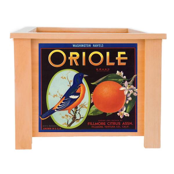 Unbranded 19 in. x 19 in. Deluxe Cedar Planter Box with Oriole Art