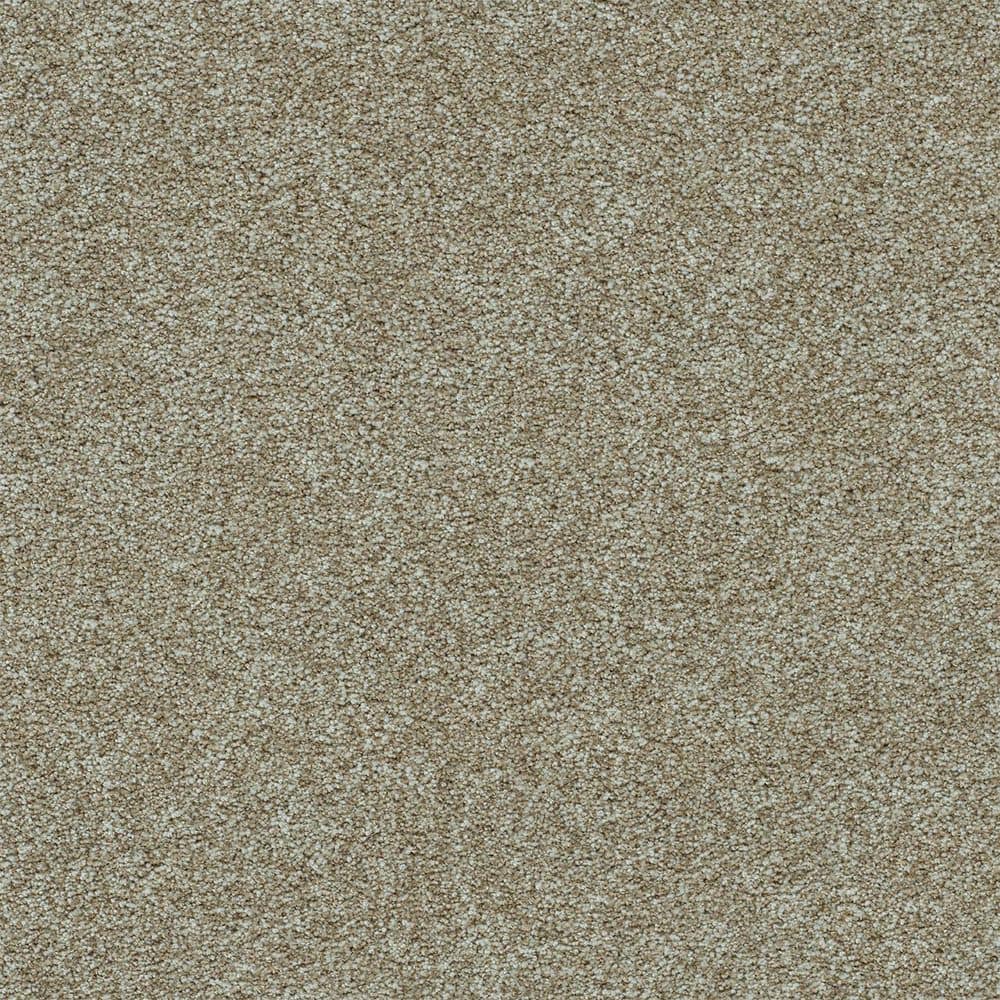 8 in. x 8 in. Texture Carpet Sample-Dewdrop II-Color Mellow price history on PriceWatchPro
