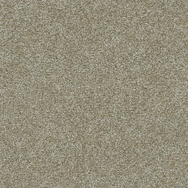 8 in. x 8 in. Texture Carpet Sample-Dewdrop III-Color Mellow