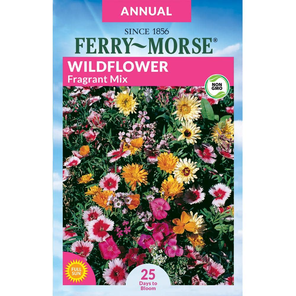 Ferry-Morse Economy Wildflower Fragrant Mixture Flower Seeds 2185 - The  Home Depot