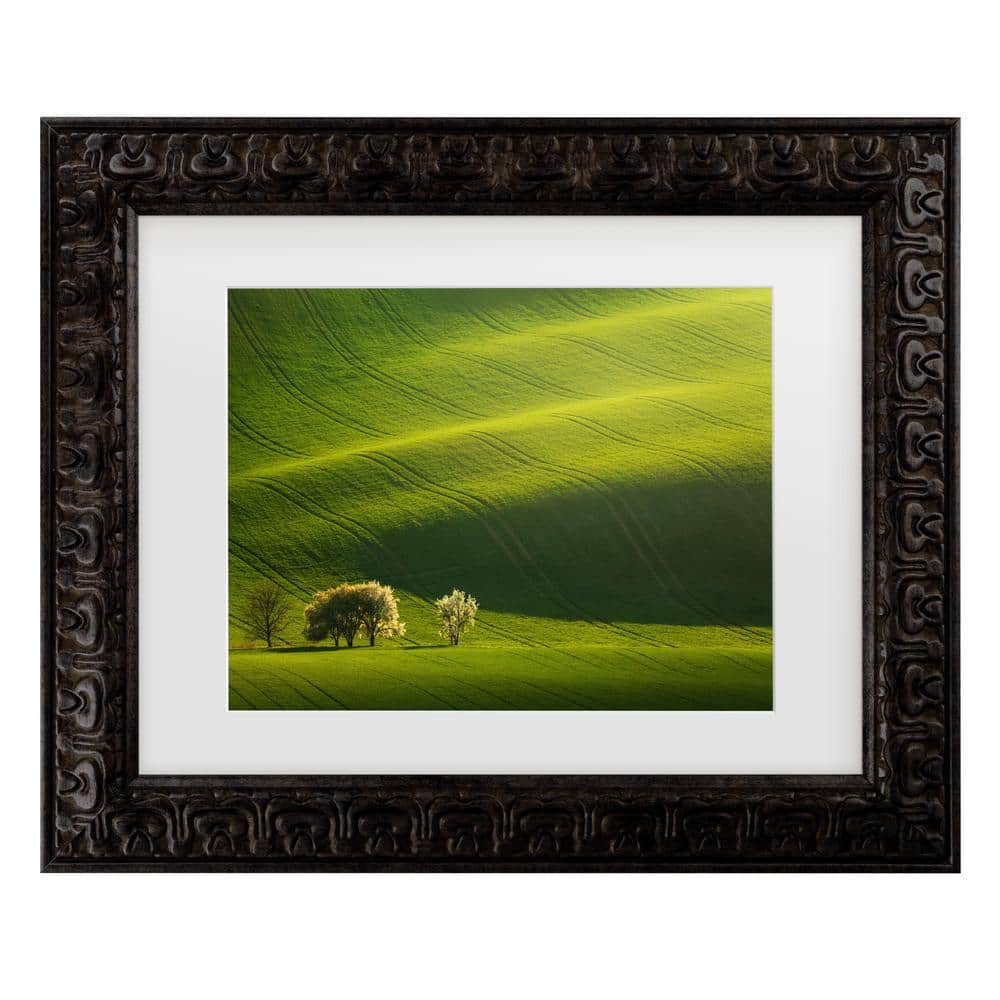 Daniel Rericha Moravian Waves Matted Framed Photography Wall Art 19.5 in. x 23.5 in. price history on PriceWatchPro