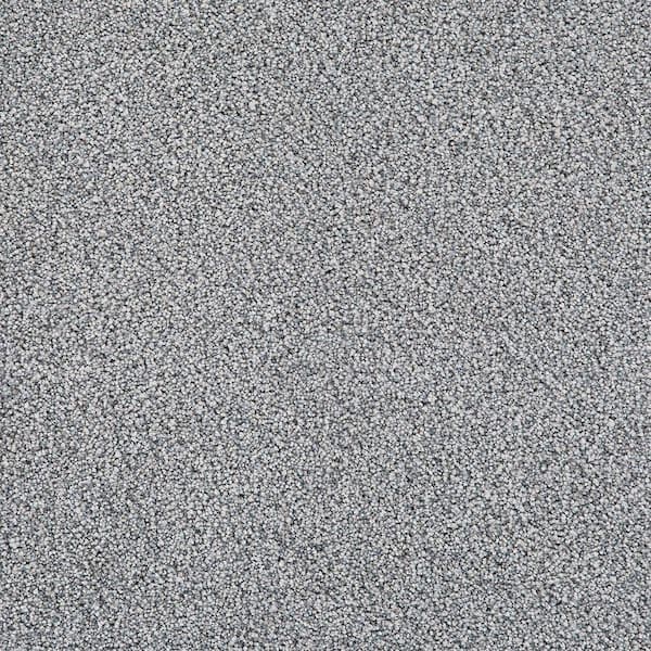 Velvetine III-Aurora Gray-75 oz. SD Polyester Texture Carpet - Installation Required