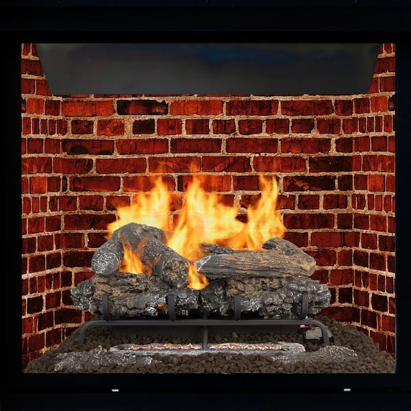 Pleasant Hearth Valley Oak 24 in. Vent-Free Dual Fuel Gas Fireplace Logs  with Remote VFL2-VO24DR - The Home Depot