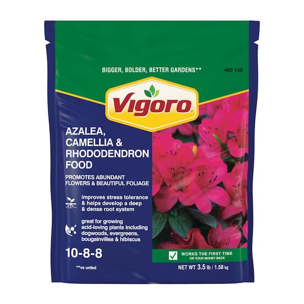 Vigoro 3.5 lb. All Season Azalea Camellia and Rhododendron Plant Food (10-8-8)