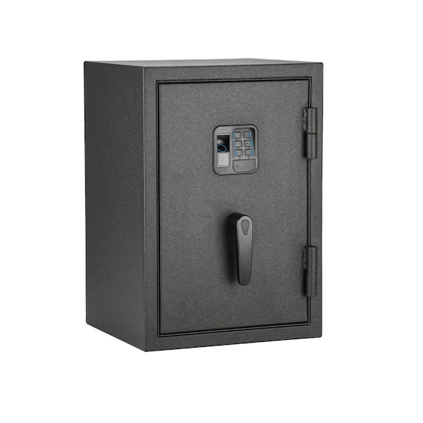 Biometric 1.0 cu. ft. Waterproof and Fireproof Home Safe Advanced Finger Vein Recognition Access in Matte Black