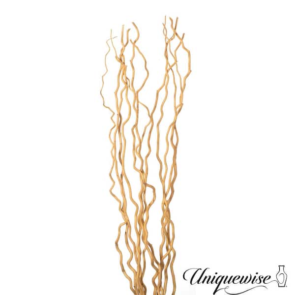 Uniquewise 12-Pieces Natural Dry Branches Authentic Willow Sticks, Home,  and Wedding Craft 59 in, Peeled White, Vase Fillers QI004415.WT.60 - The  Home Depot