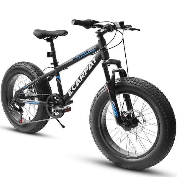 Cesicia 20 in. 7 Speed Mountain Bike in Blue with Fat Tire