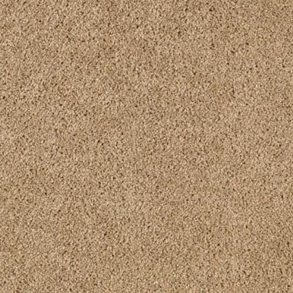 Lifeproof 8 in. x 8 in. Texture Carpet Sample - Ambrosina I -Color Golden Brown