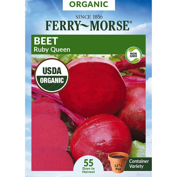 Organic Beet Ruby Queen Vegetable Seed