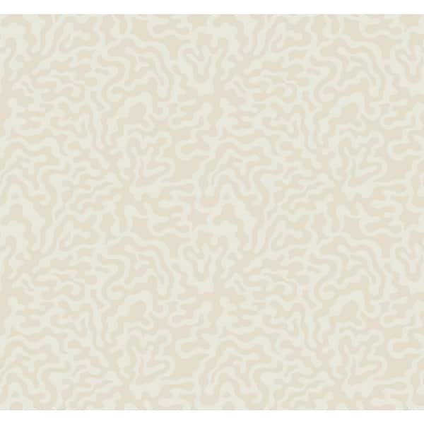 York Wallcoverings Beige and Metallic Nebulous Cloud Matte Non-Pasted Paper Wallpaper