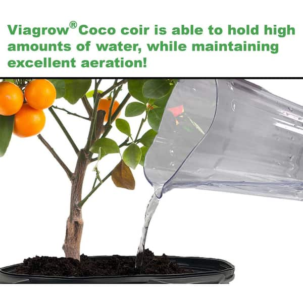 Viagrow Coco Coir Seed Starter Plugs, Sustainable, Expandable Coco Discs  50mm, 50-Pack – Viagrow