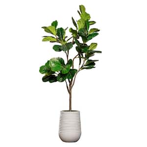 Vintage Home Artificial Faux Fig Tree 80 in. Large Fake Plant Real Touch with Eco Planter