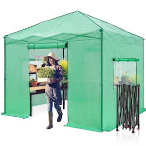 120 in. W x 120 in. D Portable Walk-In Pop-Up Gardening Instant Greenhouse Canopy