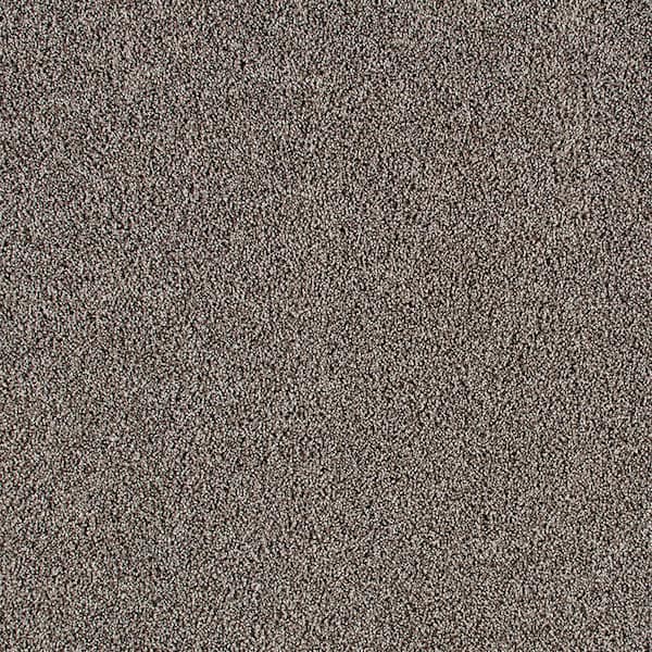 Lifeproof Gorrono Ranch I  - Ship Wreck - Gray 30 oz. Triexta Texture Installed Carpet
