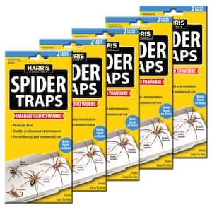 Safer Brand Safer Home Indoor Flying Insect Trap Refill (3 Sticky Refill  Glue Cards) SH503 - The Home Depot