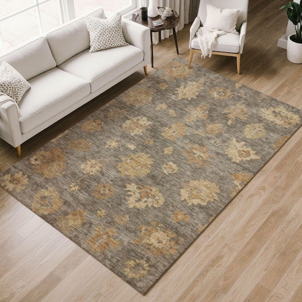 Chantille Machine Washable Indoor/Outdoor Abstract ACN2305 Taupe 3 ft. x 4 ft. Area Rug