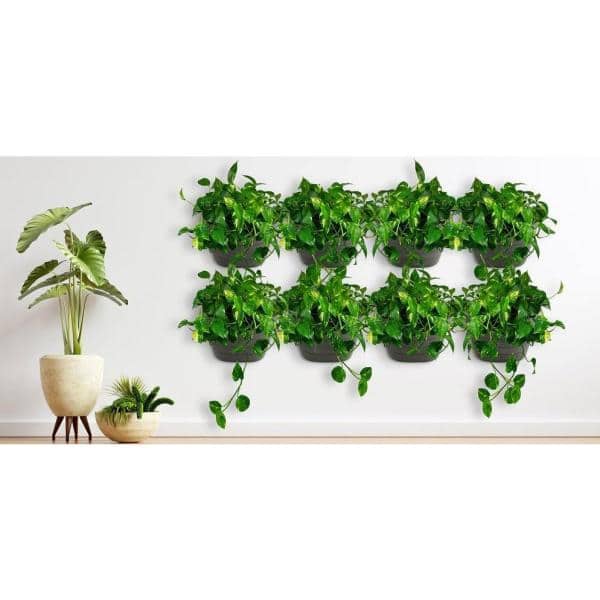 Black 12" Self-Watering Wall Planter for Indoor/Outdoor Use