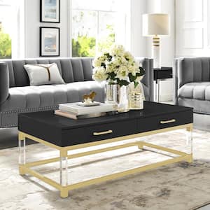 Caspian 48 in. Black/Gold Large Rectangle Wood Coffee Table with 2-Drawers