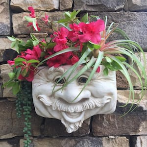 Uncle Nate 10.5 in. Antique White the Muggly Face Statue Tree and Resin Patio Wall Planter