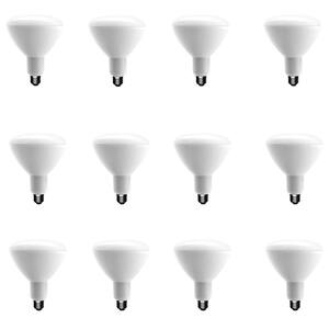 65-Watt Equivalent BR30 Dimmable ENERGY STAR LED Light Bulb Bright White (12-Pack)