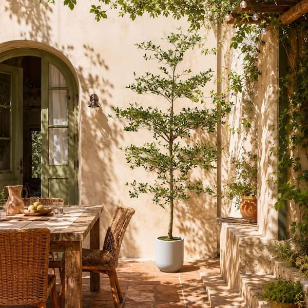 DR.Planzen Artificial 9 ft. Black Olive Tree with White Planter
