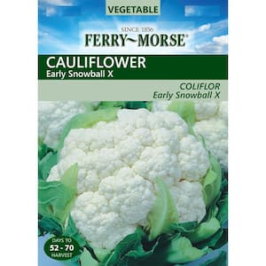 Early Snowball A Cauliflower Seed