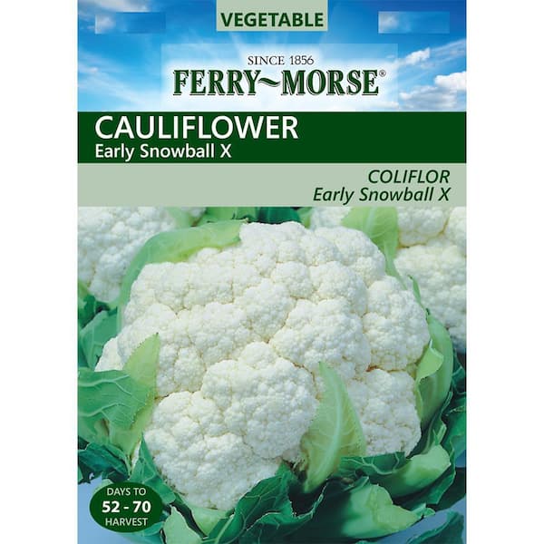 Ferry-Morse Early Snowball A Cauliflower Seed