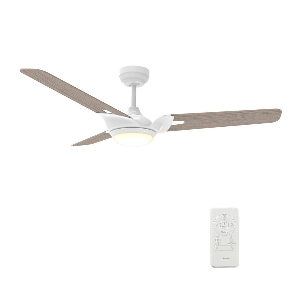 luminous designer fans with led