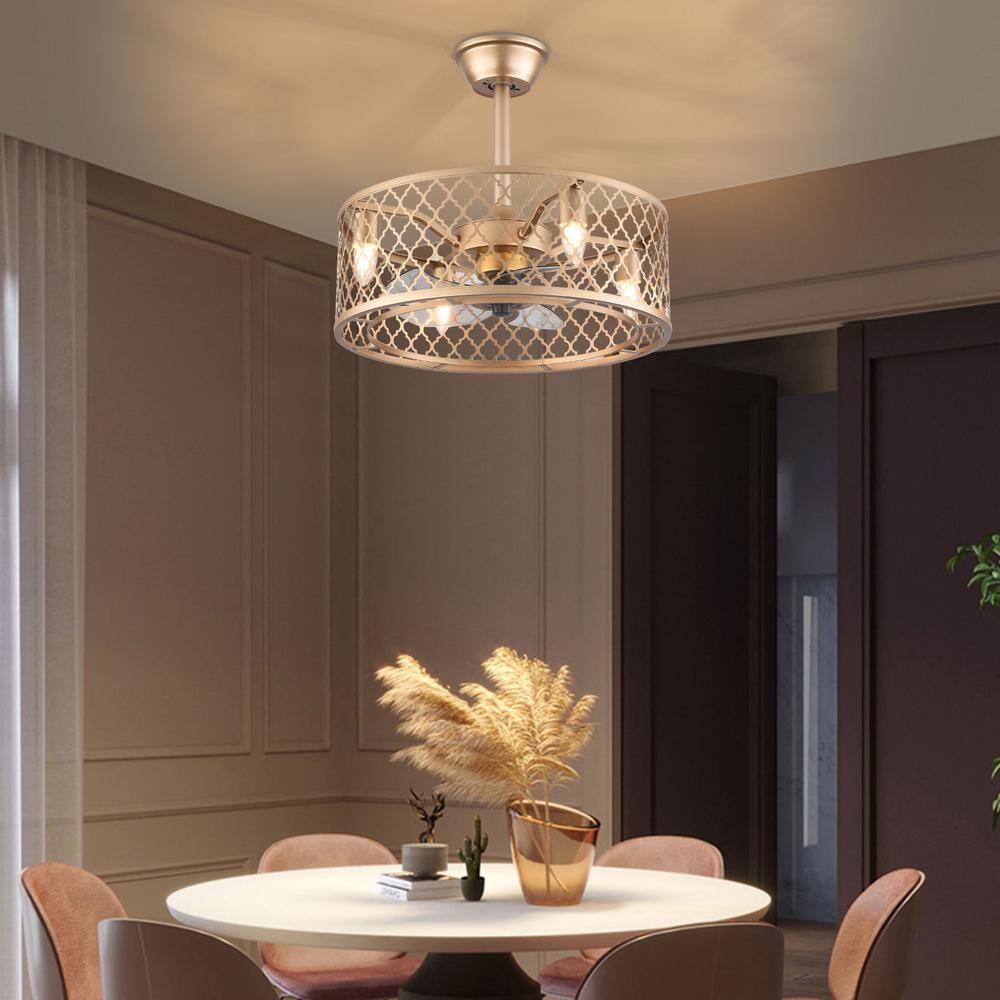 20-Inch Gold Metal Caged Ceiling Fan with Remote and Lighting