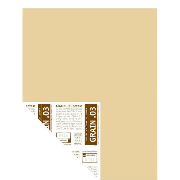 YOLO Colorhouse 12 in. x 16 in. Grain .03 Pre-Painted Big Chip Sample