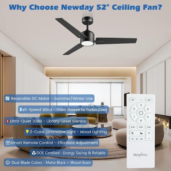ZXXC 52 in. Indoor/Outdoor Black Downrod Mount Ceiling Fan with