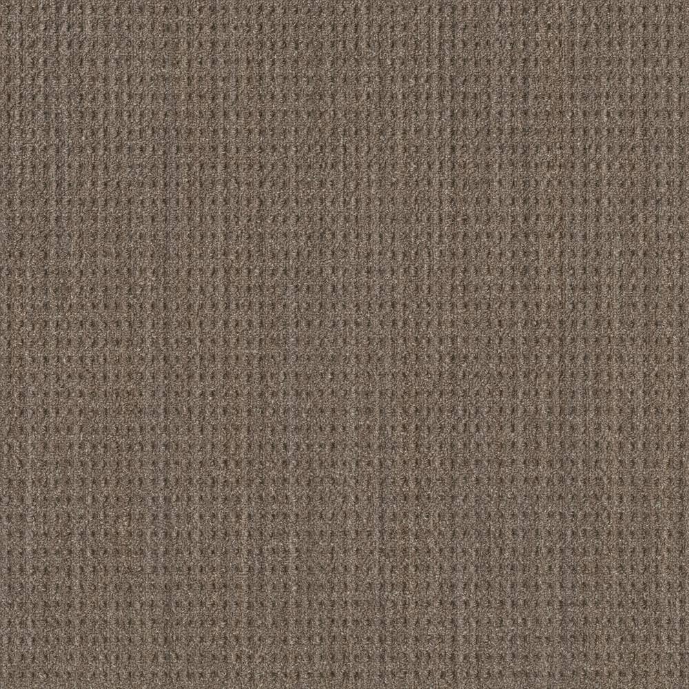 8 in. x 8 in. Pattern Carpet Sample - Sicily - Color Fairview Taupe price history on PriceWatchPro