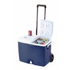 Rubbermaid 75 Qt. Blue Wheeled Cooler FG2C0902MODBL - The Home Depot