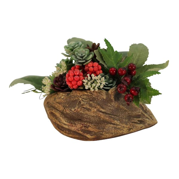 Unbranded 4.25 in. x 3.25 in. x 2.25 in. Driftwood Ceramic Wood Plant Pot - Unique Succulent Planter Clam Shell Log